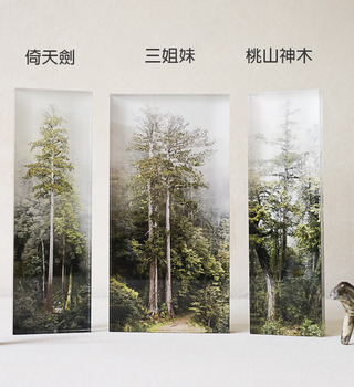 theTreePorjects|台灣巨木 - 森林紙鎮