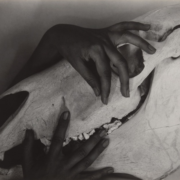 body 5 - Hands and Horse Skull 1931