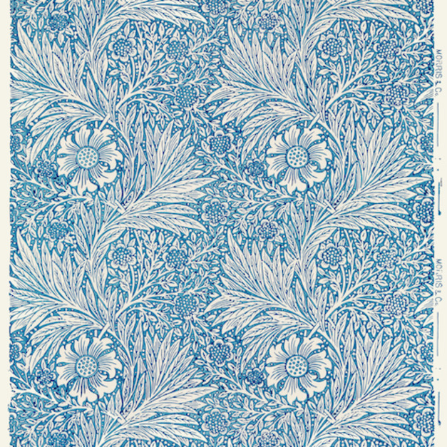 9. 藍色萬壽菊 blue marigold