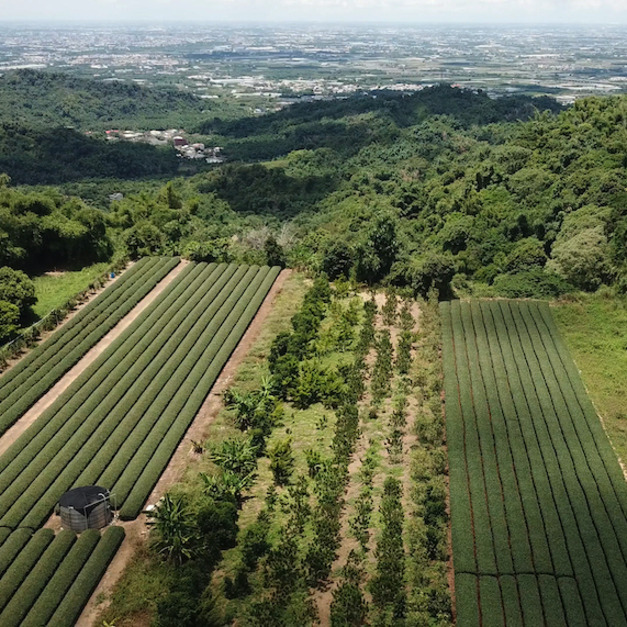 2020 雲林。成功國小