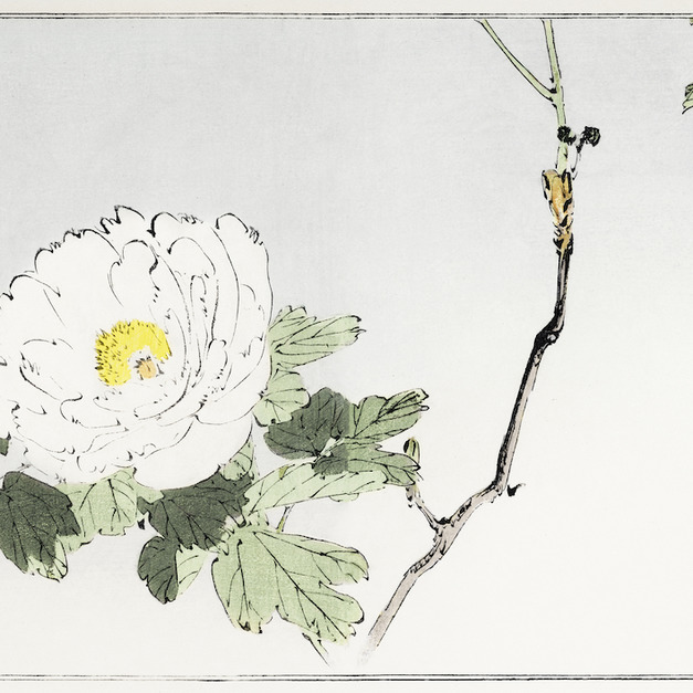 盛花