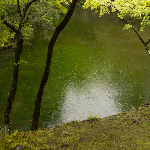 西芳寺(苔寺)-2