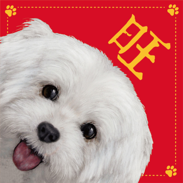 馬爾濟斯(春聯)