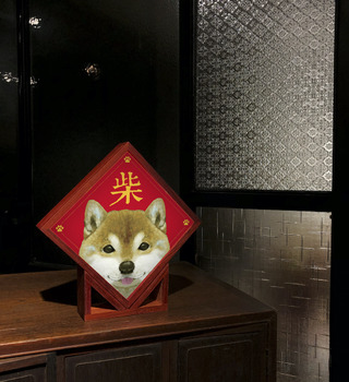 燈箱|JayWu|貓貓狗狗過新年