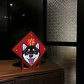燈箱|JayWu|貓貓狗狗過新年_2 燈箱|JayWu|貓貓狗狗過新年_2