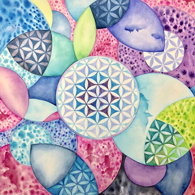 豐盛・金魚