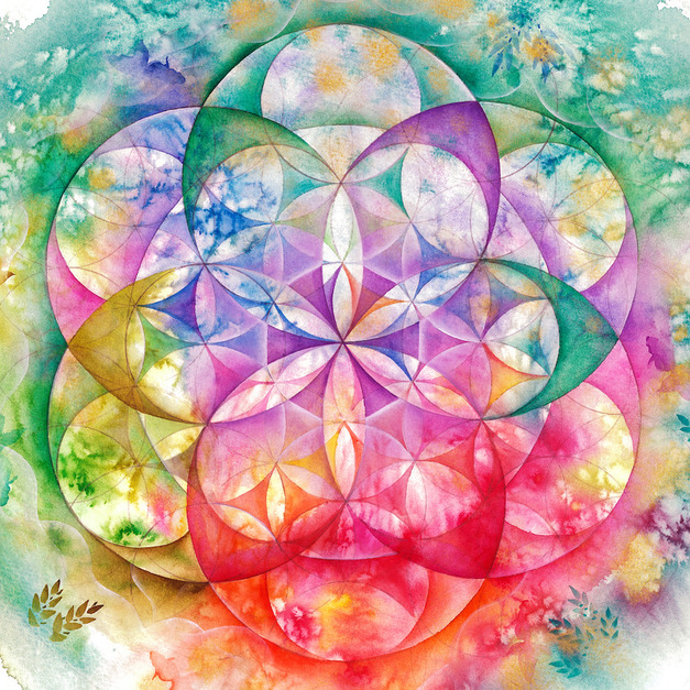 豐盛・花卉