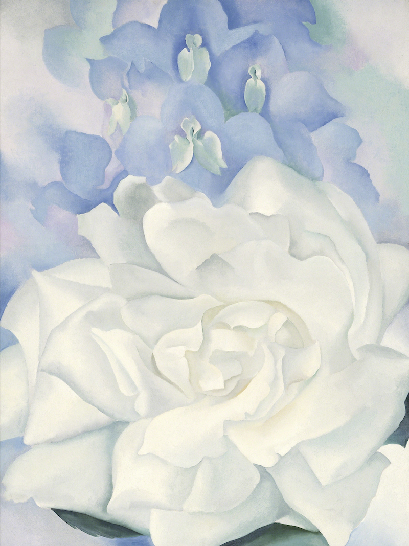 歐姬芙-Georgia-OKeeffe-白玫瑰與飛燕草-藝術掛畫