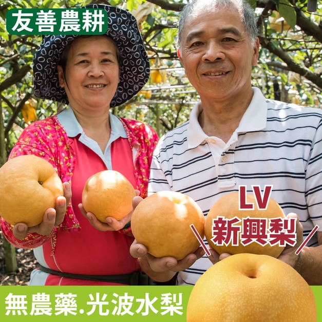 【龍安果園】新興梨·梨界的LV 【龍安果園】新興梨·梨界的LV