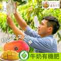 【枋山盧家】 銷日愛文芒果禮盒御用級/寶島級 (產地常溫直送) 【枋山盧家】 銷日愛文芒果禮盒御用級/寶島級 (產地常溫直送)