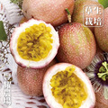【豐耀農場】滿天星百香果 (網室栽種/草生栽培/產地直送) 【豐耀農場】滿天星百香果 (網室栽種/草生栽培/產地直送)