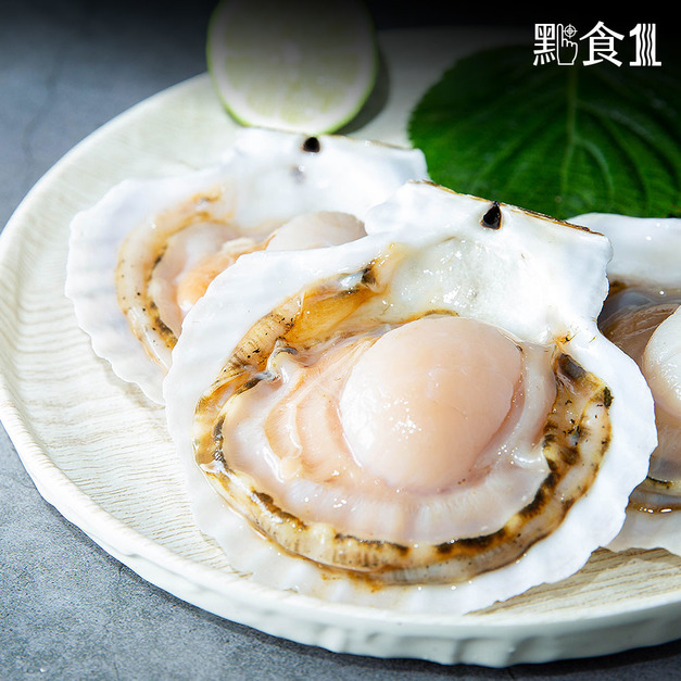 日本北海道帆立貝(10入)(550G±5%) 日本北海道帆立貝(10入)(550G±5%)