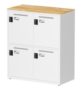 天鋼 tanko 密碼鎖櫃 FBA-204W 白色 天鋼 tanko 密碼鎖櫃 FBA-204W 白色