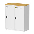 【天鋼 Tanko】密碼鎖櫃 FBA-202W 白色 2格 密碼置物櫃 辦公室員工櫃 收納櫃 檔案櫃 台灣製 【天鋼 Tanko】密碼鎖櫃 FBA-202W 白色 2格 密碼置物櫃 辦公室員工櫃 收納櫃 檔案櫃 台灣製