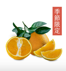 【台東東河鄉|北源香丁】山海風土交織,以一年時間聚足濃郁酸甜香氣,用一年時光等候與你相會