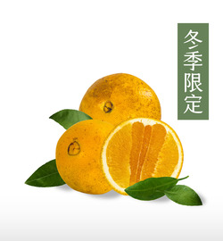 【火燒肚臍橙】冬季限定預購計畫‼ 來自台東東河,獨家私藏|產量極少