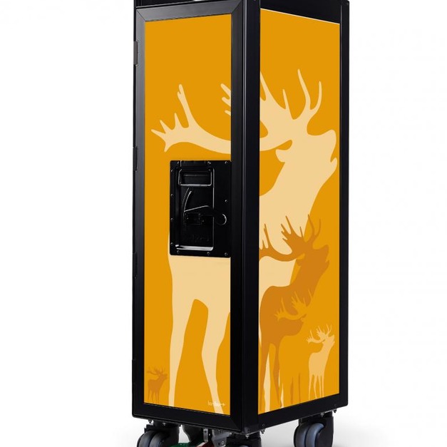 黃色&經典門板/Classic&黑色結構塗裝 +$31,000