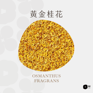 黃金桂花 黃金桂花