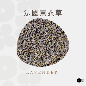 薰衣草 薰衣草