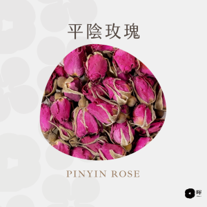 平陰玫瑰 平陰玫瑰