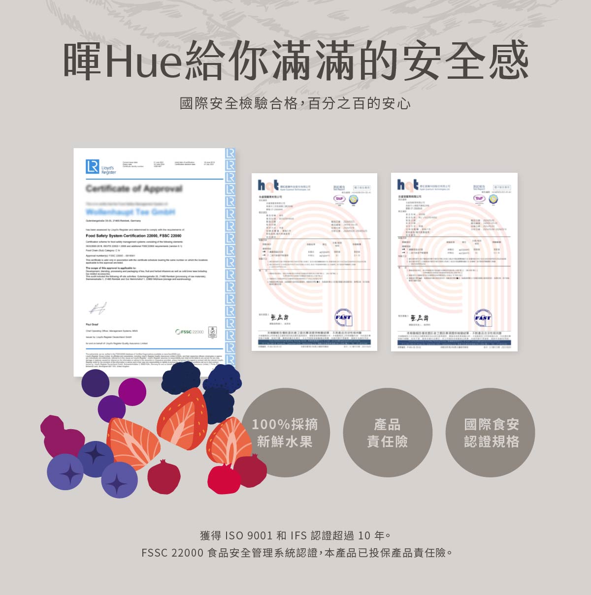 檢驗合格-12種莓果果茶包|暉 Hue