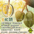 【樂廚】(冷凍) 特A級金枕頭榴槤果肉300g_2 【樂廚】(冷凍) 特A級金枕頭榴槤果肉300g_2