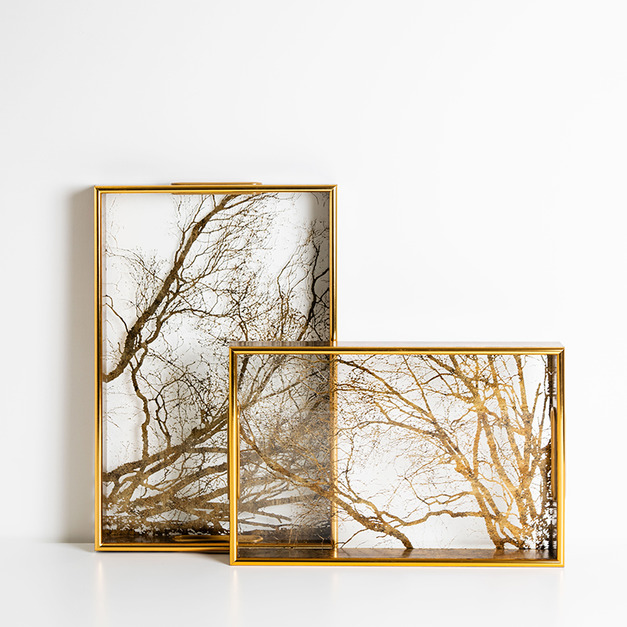 金色樹枝透明托盤 金色樹枝透明托盤