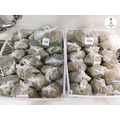 左手香艾草|安撫癢癢_6 左手香艾草|安撫癢癢_6