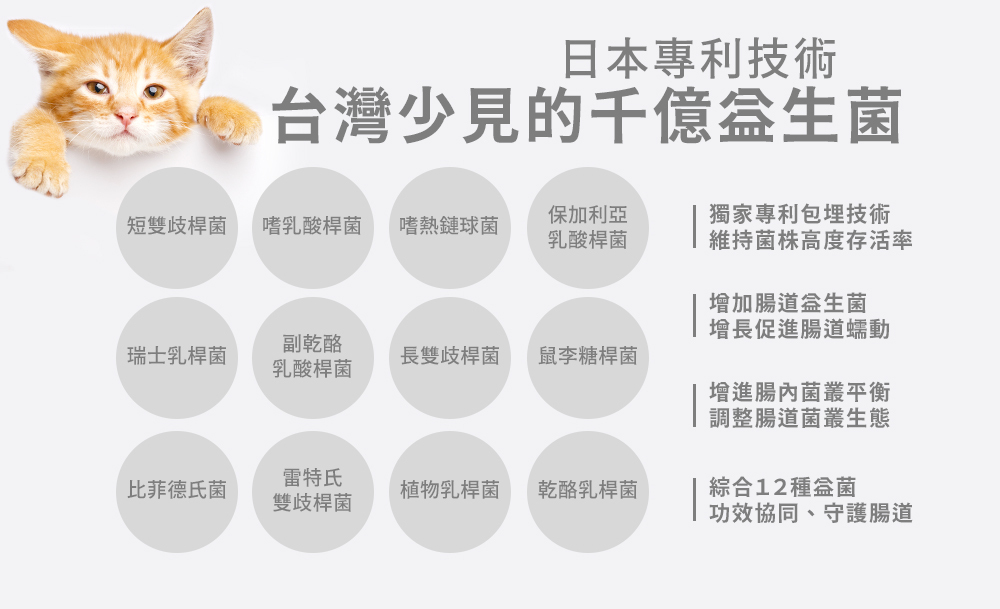【12種益菌】PetWell沛威 Digestive+ 貓益生菌|守護腸胃的日本配方