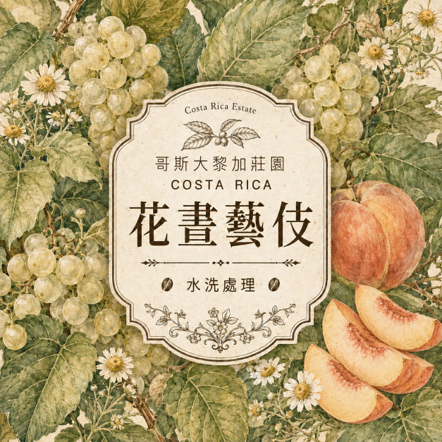 哥倫比亞 薇拉 哥斯大黎加莊園 花晝藝伎 水洗 (100克) 哥倫比亞 薇拉 哥斯大黎加莊園 花晝藝伎 水洗 (100克)