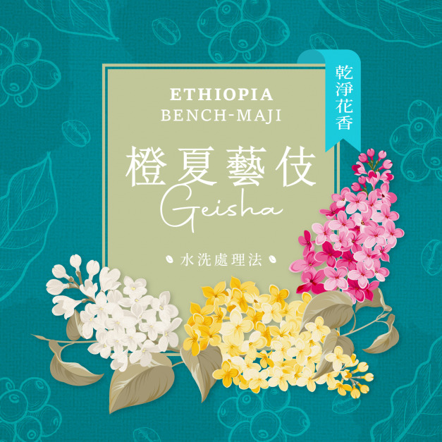 衣索比亞 班奇馬吉 橙夏藝伎 水洗處理法 衣索比亞 班奇馬吉 橙夏藝伎 水洗處理法