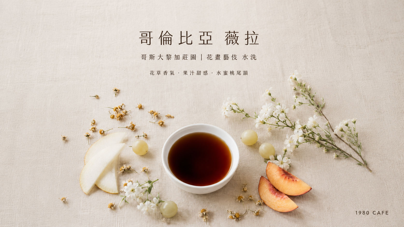哥倫比亞 薇拉 哥斯大黎加莊園 白葡韻 藝伎 咖啡豆
