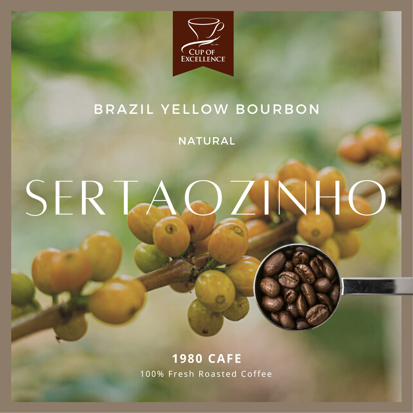 巴西 聖泰奧莊園 黃波旁