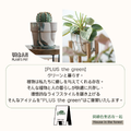 PLUSthegreen 日本環保花盆-牛奶_11 PLUSthegreen 日本環保花盆-牛奶_11