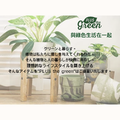 PLUSthegreen 日本環保花盆-牛奶可可_5 PLUSthegreen 日本環保花盆-牛奶可可_5