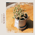 【POSH LIVING】Glossy Pot 冰裂感花盆陶盆- 酒紅色_3 【POSH LIVING】Glossy Pot 冰裂感花盆陶盆- 酒紅色_3