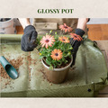 【POSH LIVING】Glossy Pot 冰裂感花盆陶盆- 香檳色_7 【POSH LIVING】Glossy Pot 冰裂感花盆陶盆- 香檳色_7