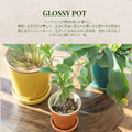 【POSH LIVING】Glossy Pot 冰裂感花盆陶盆- 香檳色_8 【POSH LIVING】Glossy Pot 冰裂感花盆陶盆- 香檳色_8