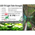 植物工廠植物燈管.高光效LED 植物燈管 ( 防水型) / 多波段仿日光植物燈管LED燈T8.超高PPFD增強光合作用.蘭花園防水植物燈_4 植物工廠植物燈管.高光效LED 植物燈管 ( 防水型) / 多波段仿日光植物燈管LED燈T8.超高PPFD增強光合作用.蘭花園防水植物燈_4