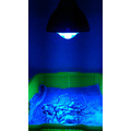 藍光LED PAR38 + IP65 防水燈具組 / Blue Light . 菇菌培育 / LED 藍光海釣船集魚燈 / 藍光LED照明.夜釣頭足類烏賊小管燈_2 藍光LED PAR38 + IP65 防水燈具組 / Blue Light . 菇菌培育 / LED 藍光海釣船集魚燈 / 藍光LED照明.夜釣頭足類烏賊小管燈_2