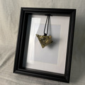 Display Shadow Box Showcase_5 Display Shadow Box Showcase_5