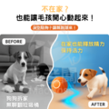 智能狗狗跳跳球|會自動跳會避障|可充電夜光寵物球|貓狗通用玩具|毛孩自嗨神器_2 智能狗狗跳跳球|會自動跳會避障|可充電夜光寵物球|貓狗通用玩具|毛孩自嗨神器_2