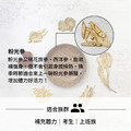 松子粉光參藥膳 換季藥膳 清爽湯頭 美國花旗蔘_1 松子粉光參藥膳 換季藥膳 清爽湯頭 美國花旗蔘_1