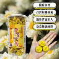 台灣杭菊(白菊、黃菊) 台灣杭菊(白菊、黃菊)