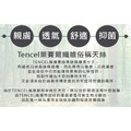 Tencel專利 吸濕排汗 天絲床包兩用被4件組 台灣製造Mit_9 Tencel專利 吸濕排汗 天絲床包兩用被4件組 台灣製造Mit_9