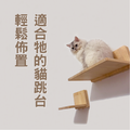 大貓跳台_7 大貓跳台_7