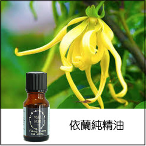 特級依蘭精油 特級依蘭精油