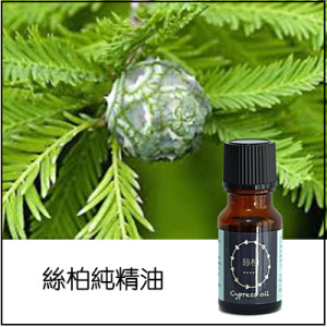 絲柏精油 絲柏精油