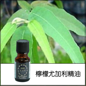 檸檬尤加利純精油 檸檬尤加利純精油