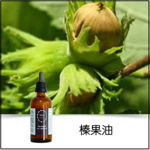 榛果油 榛果油